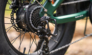 Close-up of a bicycle's gear system with a blurred natural background